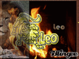 fire and leo by lotus love