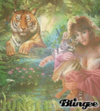 Jungle - Stolen Tiger