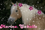 Marina.caballo