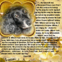 Tribute to a special friend...