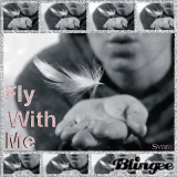 Fly With Me @svara