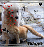 Love.........:)