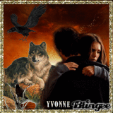 damon and elena