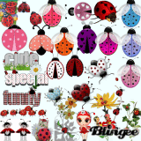 Animals: Lady bugs, 2.  (A  5)