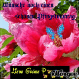 Pfingsgruß