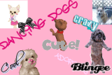 dogs