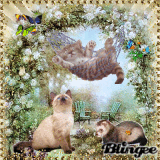 Tiere im Garten