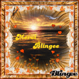 MERCI BLINGEE