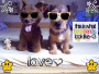 Sammy & Rex ♥