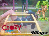 Crazy Monkey