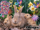 4th bunny