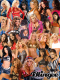 wwe divas