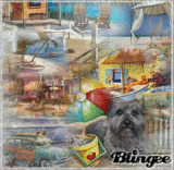 ****Summer And The Dog****
