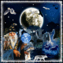 Wizard with Owls #1 (GP)