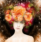 summer flower summer flower