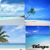 Summer Beach Backgrounds