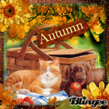 Autumn Picnic