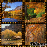 Autumn Background Stamps
