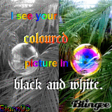 Coloured Picture In Black And White