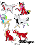 Aidrian X Roland Pups Up for adoption!