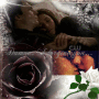 Damon, I forgive you<3