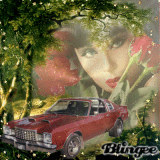 only cars