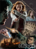 harry potter 7