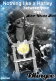 Biker Chicks Rule