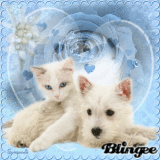 Amies pour la Vie !