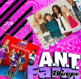 Ant farm