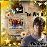 Smallville: Tom Welling 2