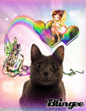 Rainbow fairies, surprised cat ~stina.scott