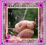 felices sueños grace