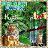 HAVE A NICE WEEKEND