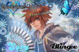 Sora