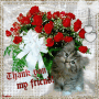 I thank you my friend 