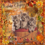 Autumn Kittens Autumn Kittens