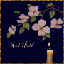 Good Night!