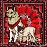To : Okami in love - A very  good friend