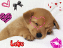 chiot