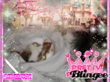 pretty princess