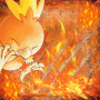 Torchic x gara :D Torchic x gara :D