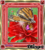 UNA BELLA FLOR Y UNA MARIPOSA//SOFIA