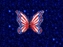 papillon americain