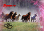 Chevaux au galop