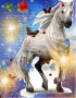 horsefancy by kimble