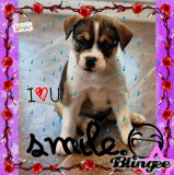 I Miss You C♥♥kie:'(