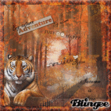 ****Tiger In Autumn Forest****