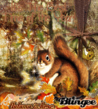 Autumn is Here!