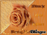 Herbst-Rose